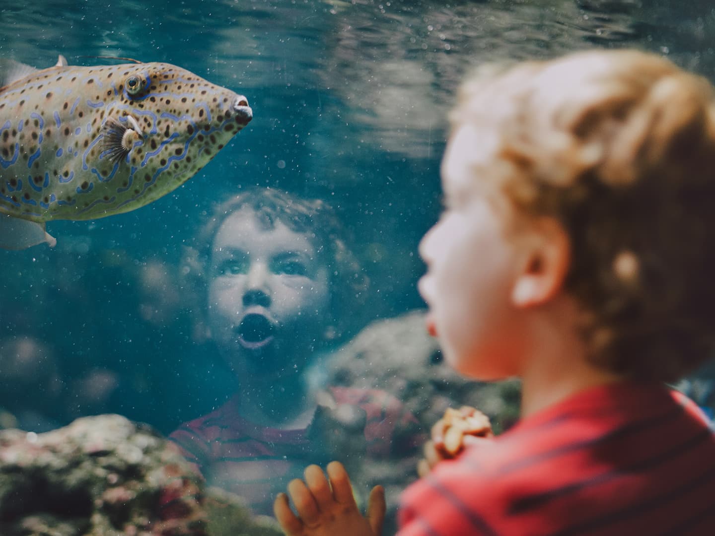 Embracing Enthusiasm: A Journey of Inspiration and Achievement