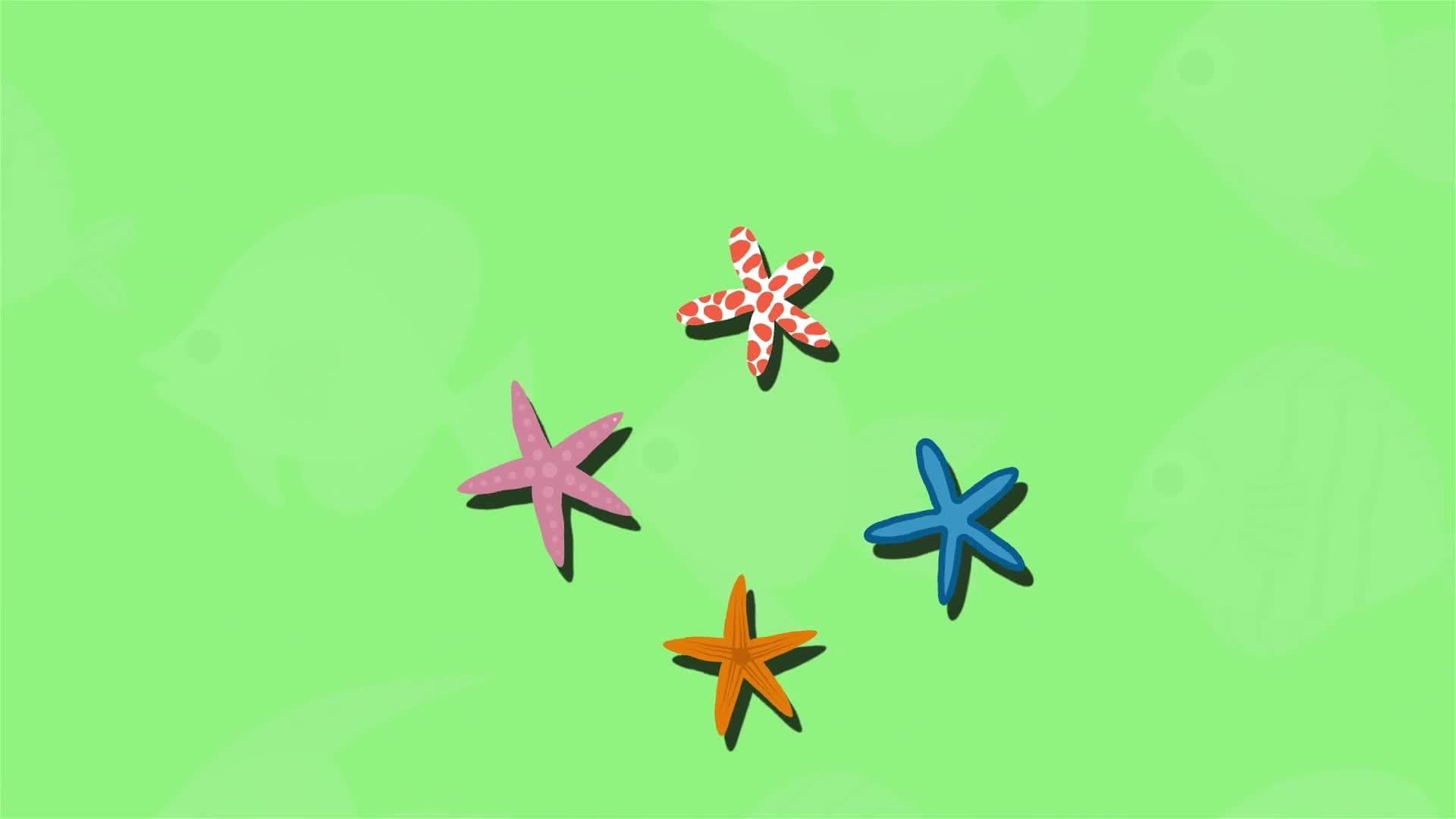 I WONDER - What is a Group of Starfish Called?