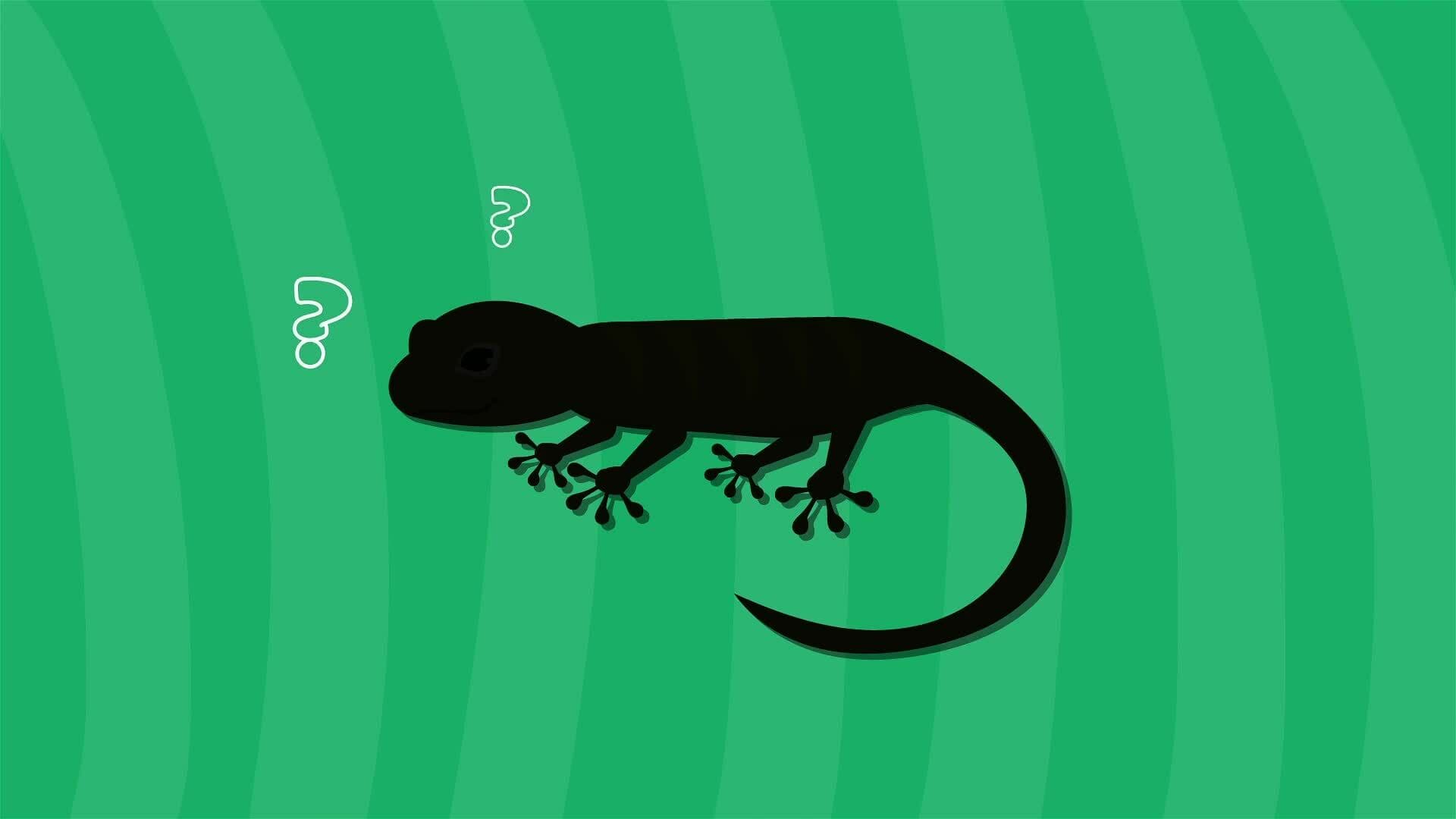 I WONDER - Do Lizards Have Hair?