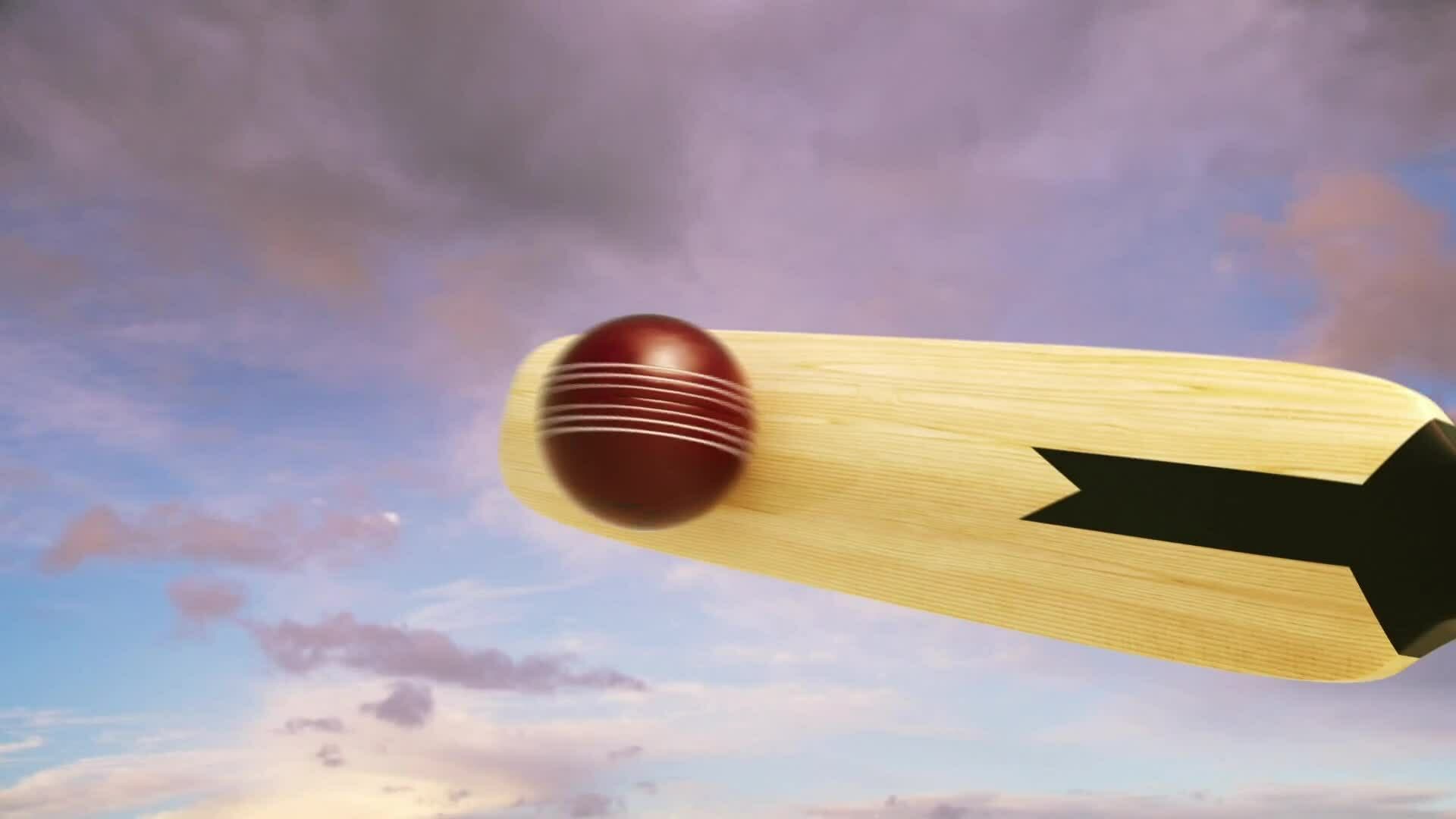 High Five Facts - Cricket