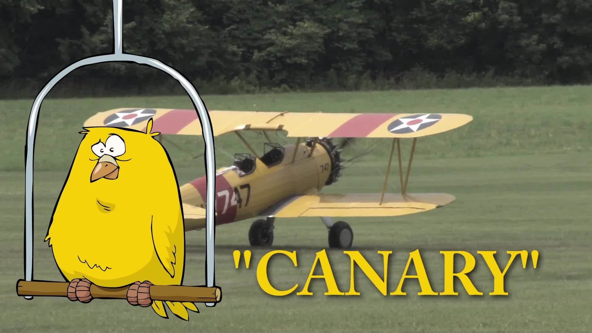 Amelia Earhart’s Journey into Aviation