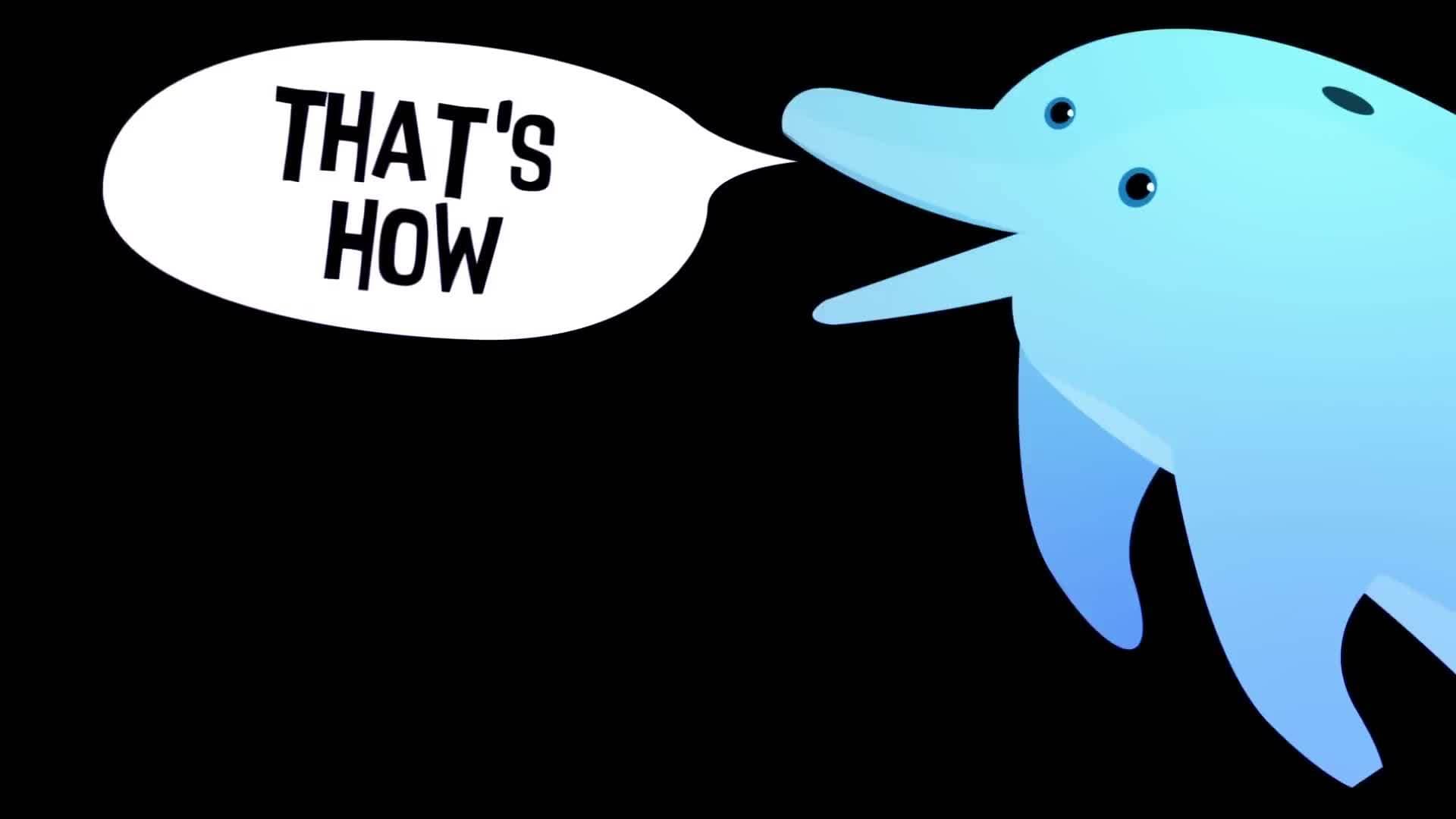 Whizpops! Dolphin Disco Music Video