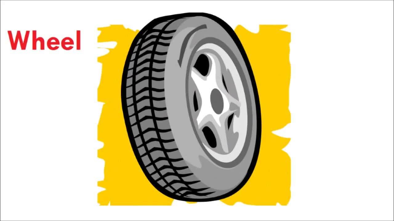 Letter W - Things that start with the Letter W