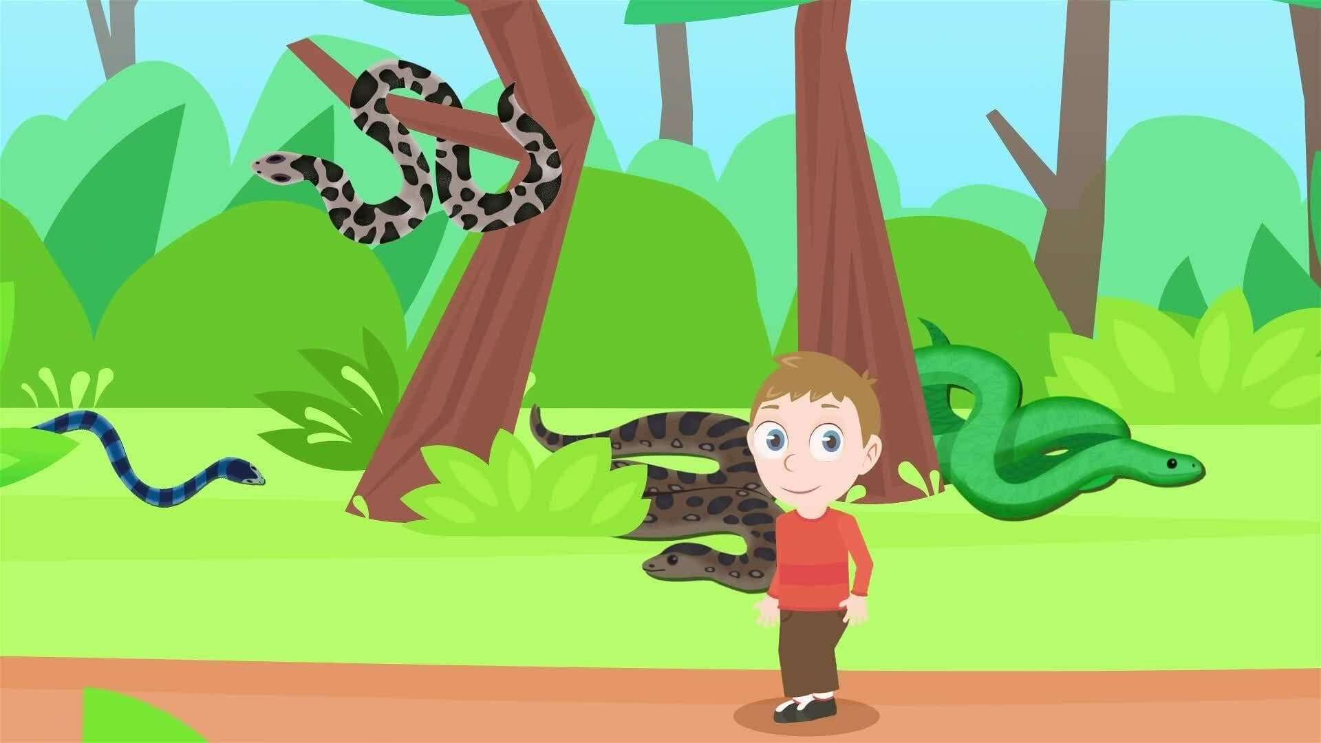 I WONDER - How Many Species Of Snake There Are?