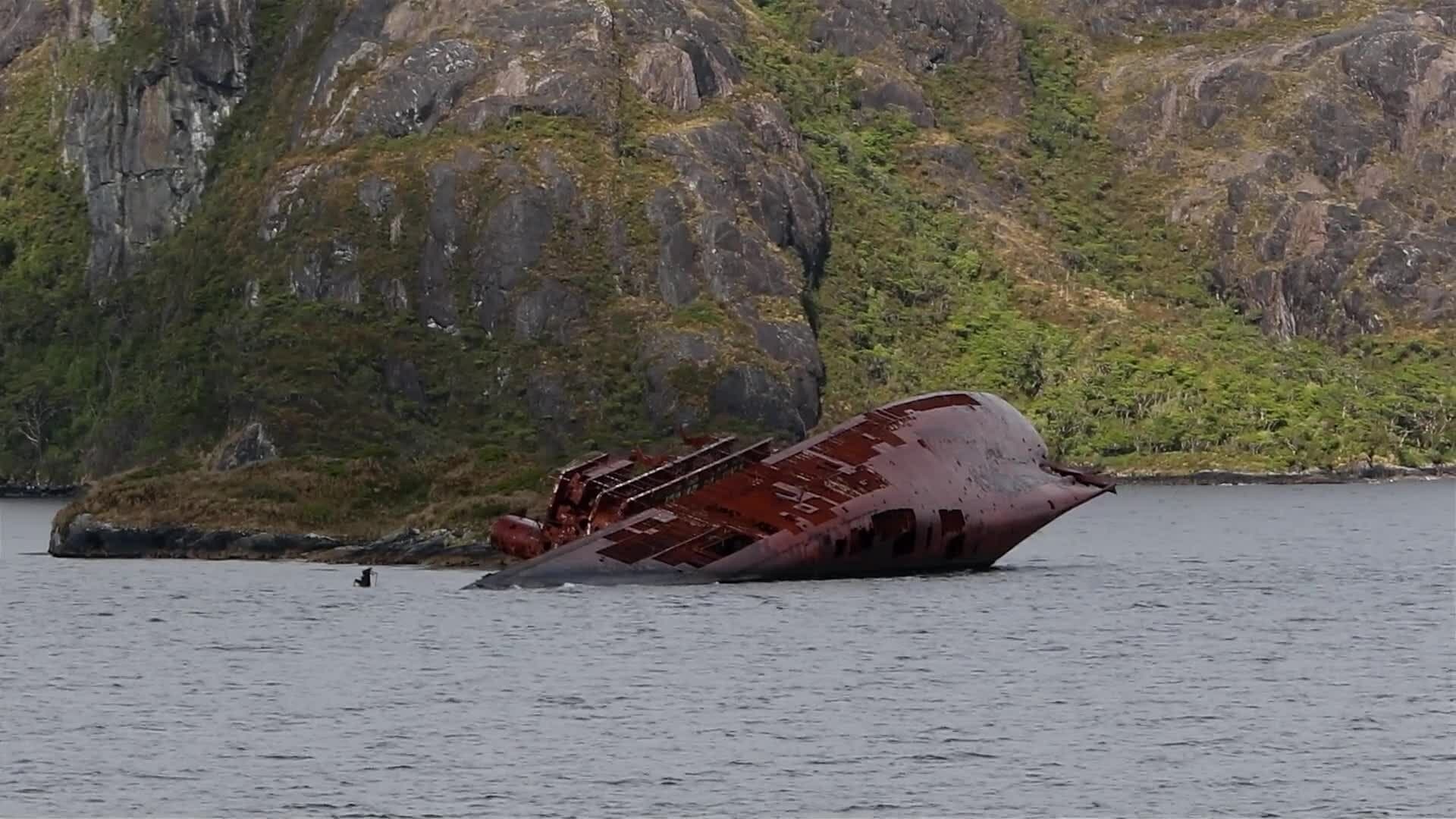 I WONDER - How Did Mermaids Enchant Sailors?