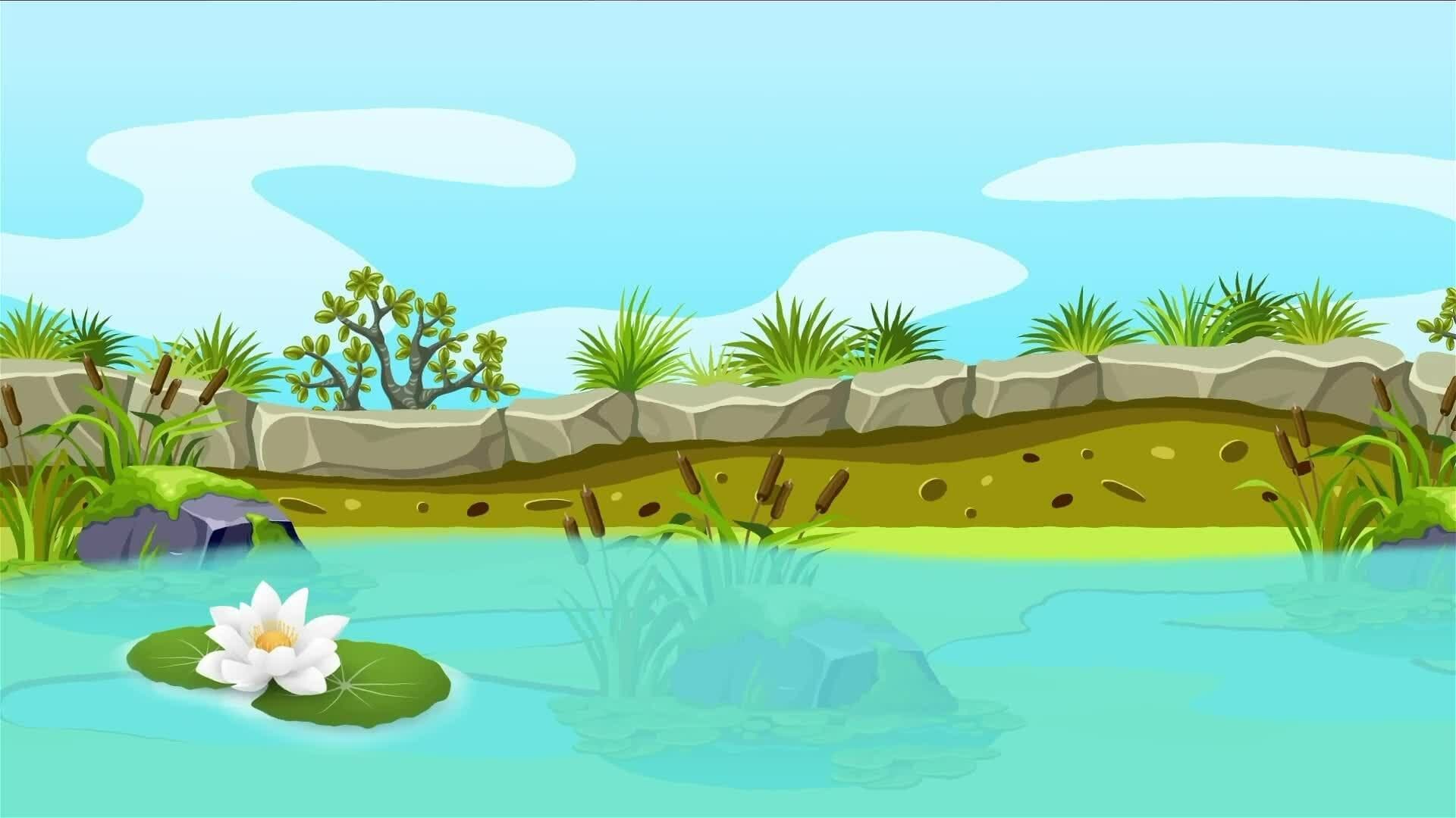 I WONDER - What Are Wetlands?