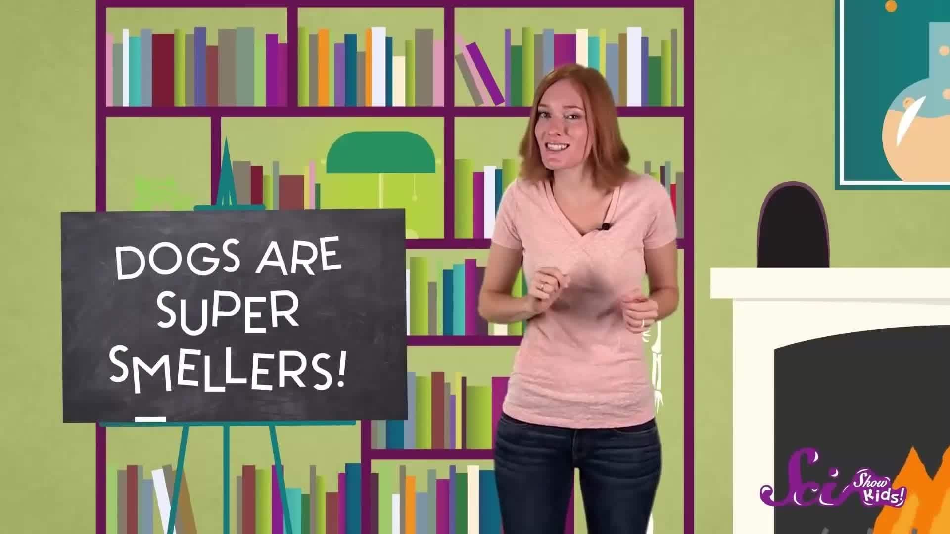 Cats and Dogs | SciShow Kids Compilation