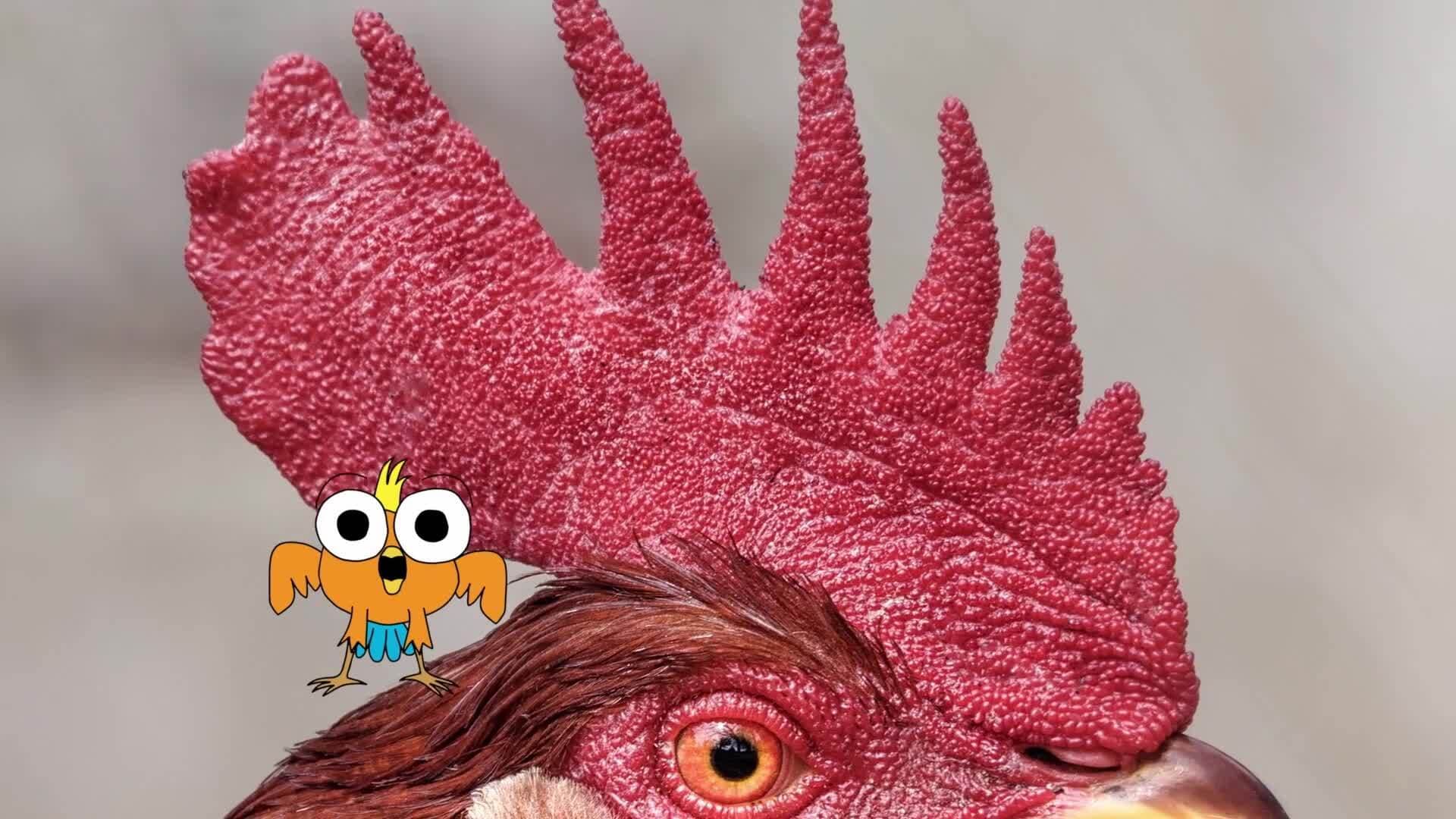 The Power of Optimism