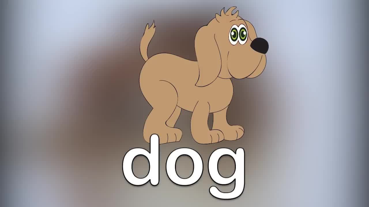 Farm Animals for Kids