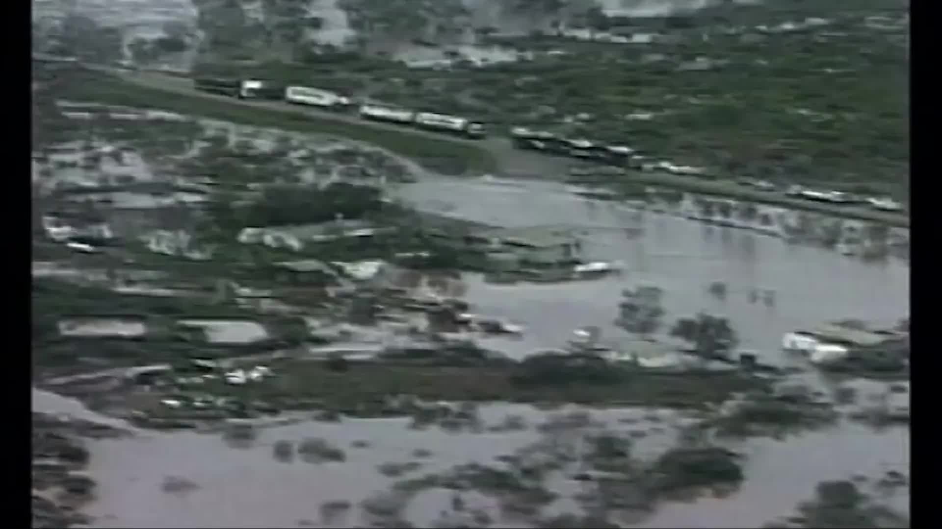 Water Birds Mating In The Desert: Learn how a cyclone helped the Banded Stilts