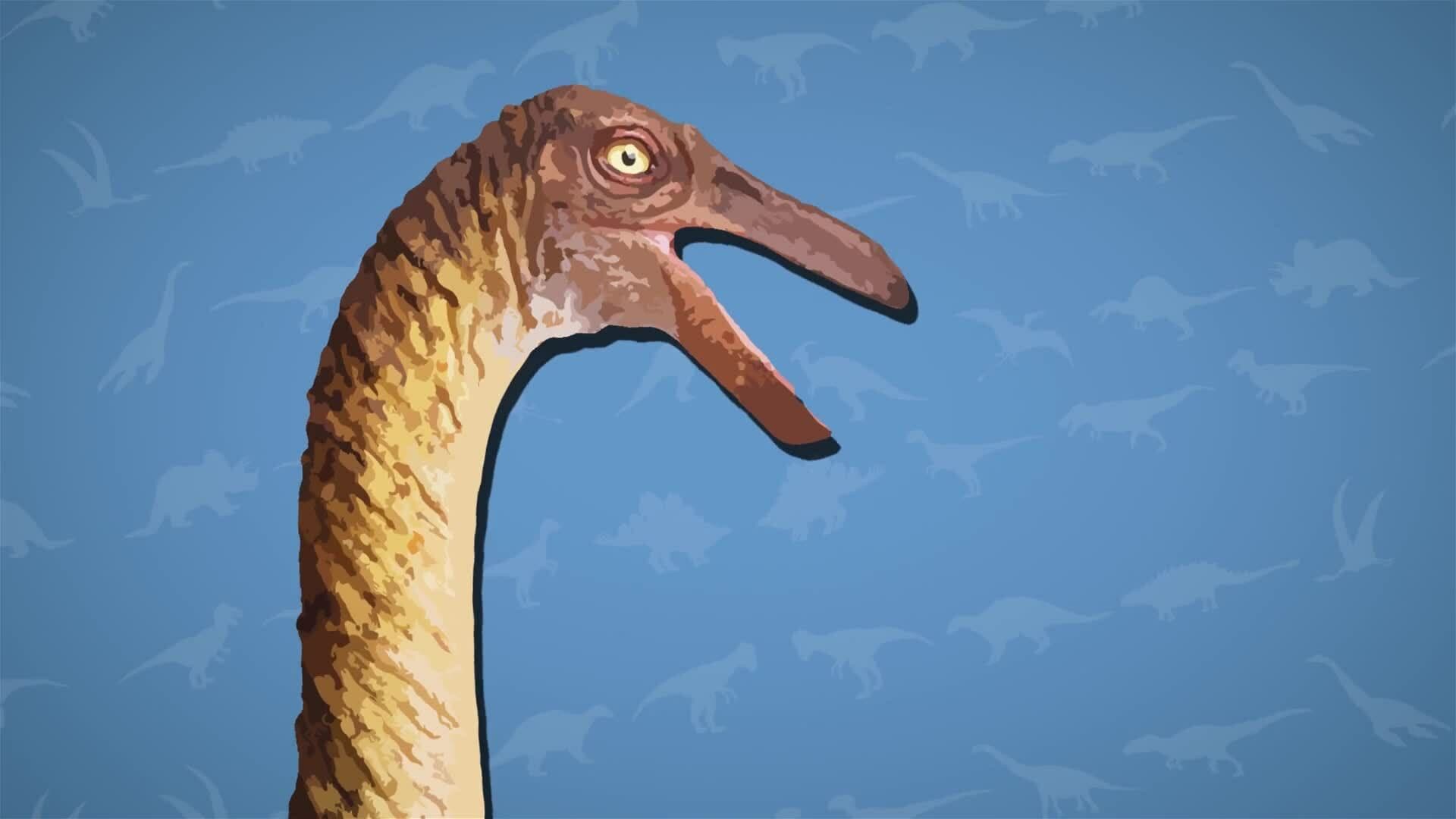 I WONDER - Did The Gallimimus Have Any Special Features?