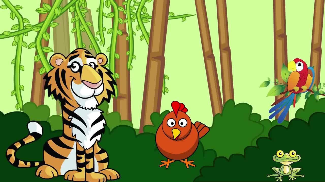 Which Animal Doesn't Belong Compilation