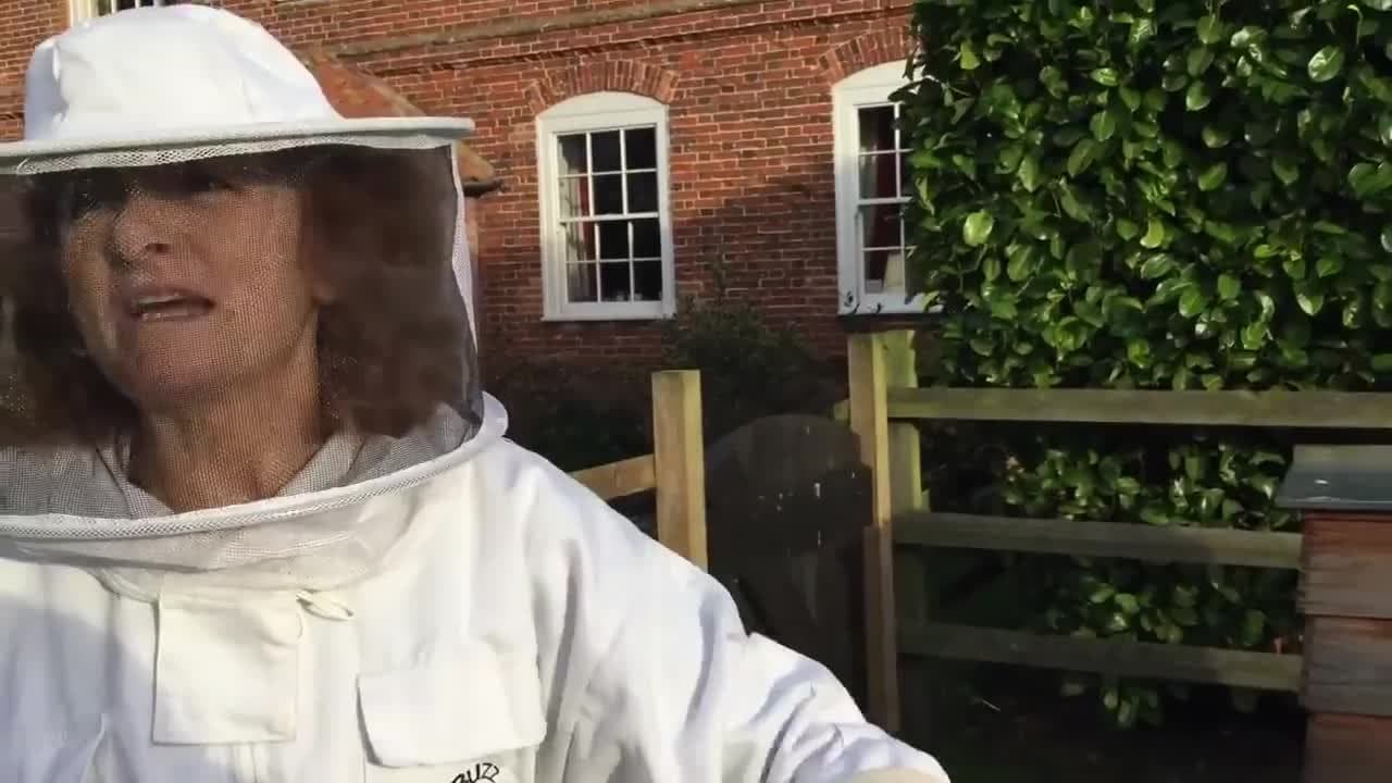 Feeding Bees Christmas Cake?! | Beekeeping with Maddie #7