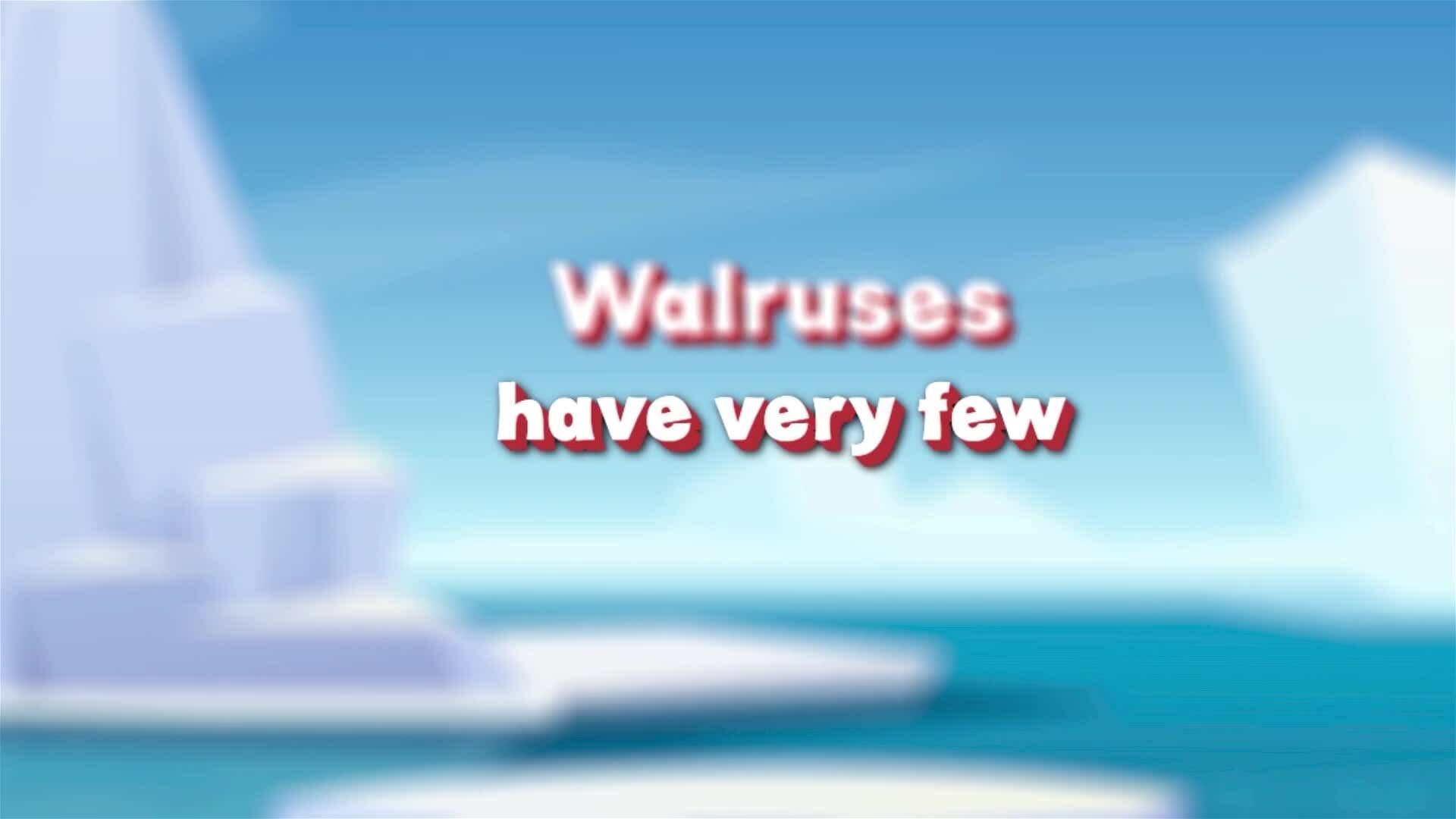 I WONDER - Do Walruses Have Predators?