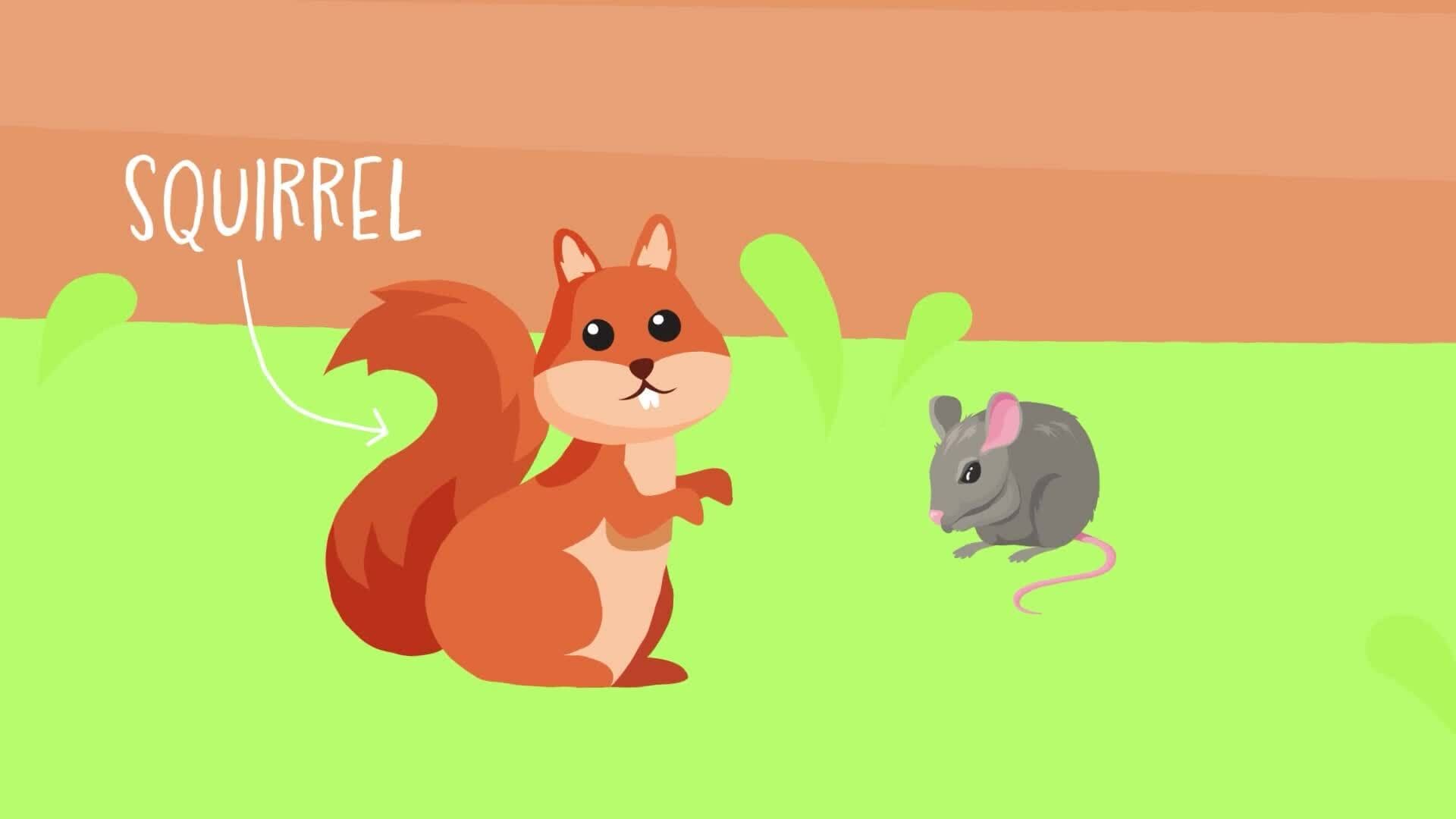 High Five Facts - Wildlife Conservation