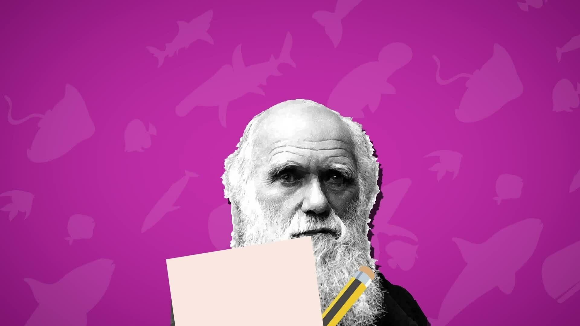 High Five Facts - Galapagos Islands