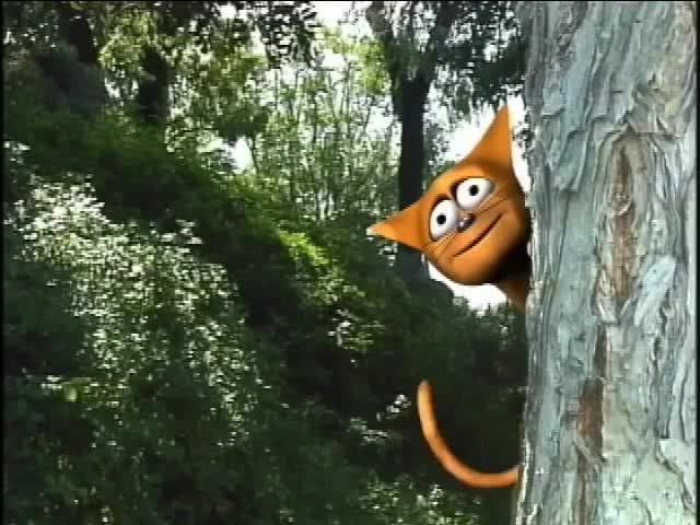 Introductory vocabulary in Mandarin