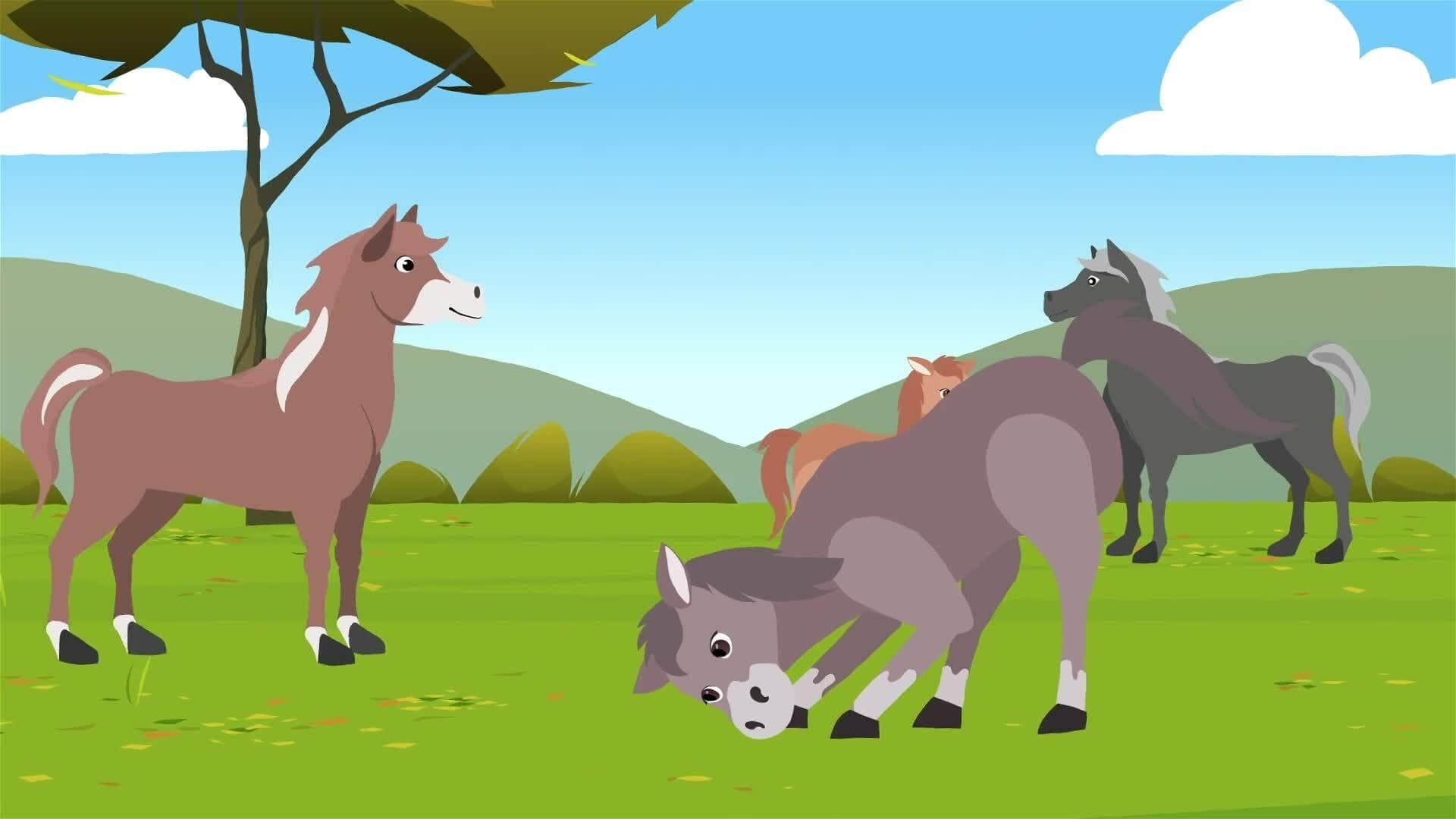 I WONDER - How Do Horses Communicate?