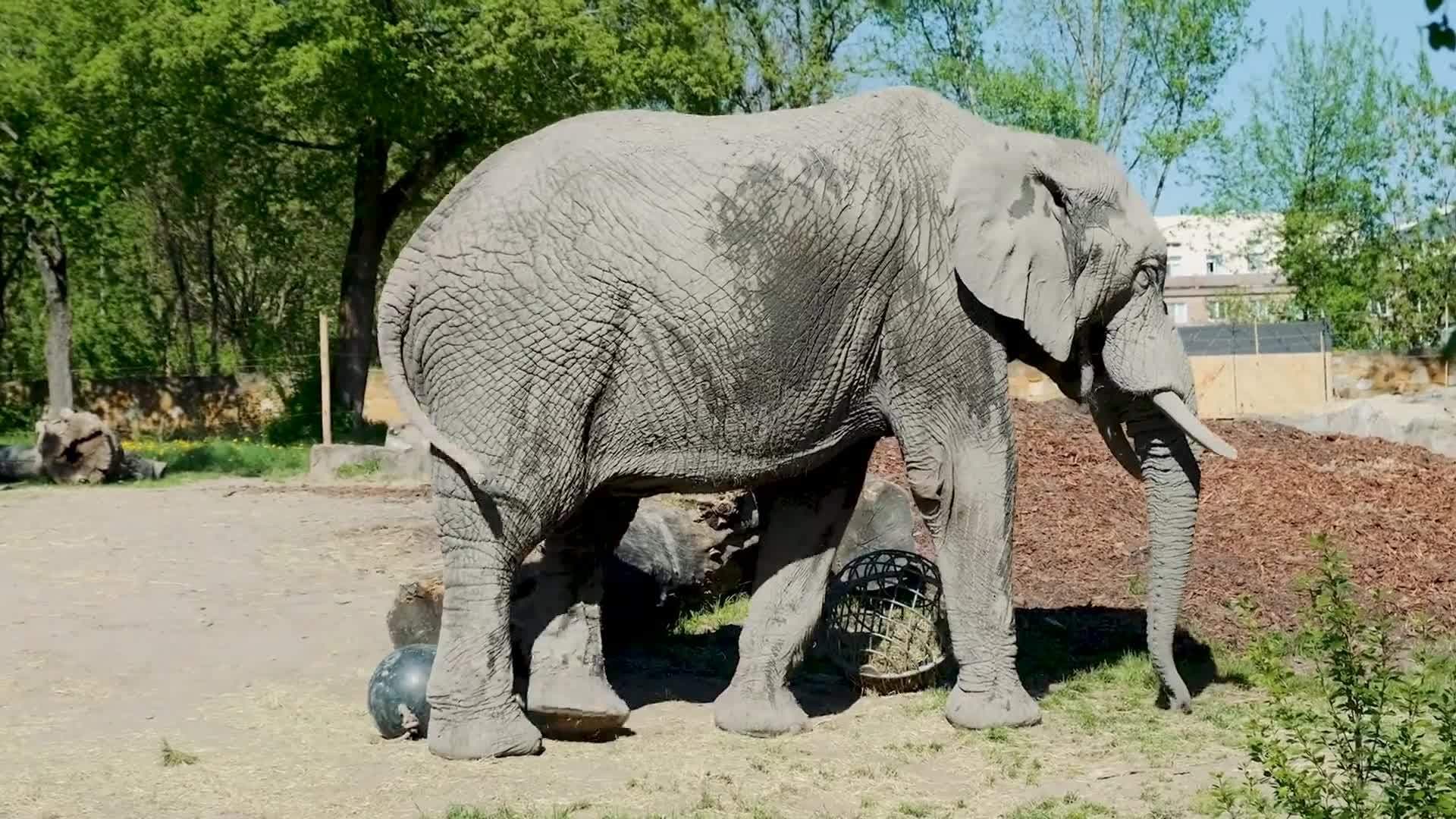 Social Studies Kids: Water Scarcity