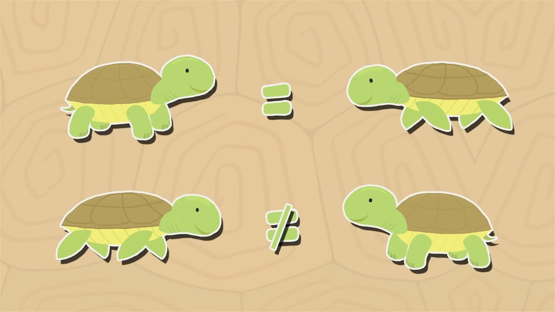 I WONDER - Are Tortoises Turtles?