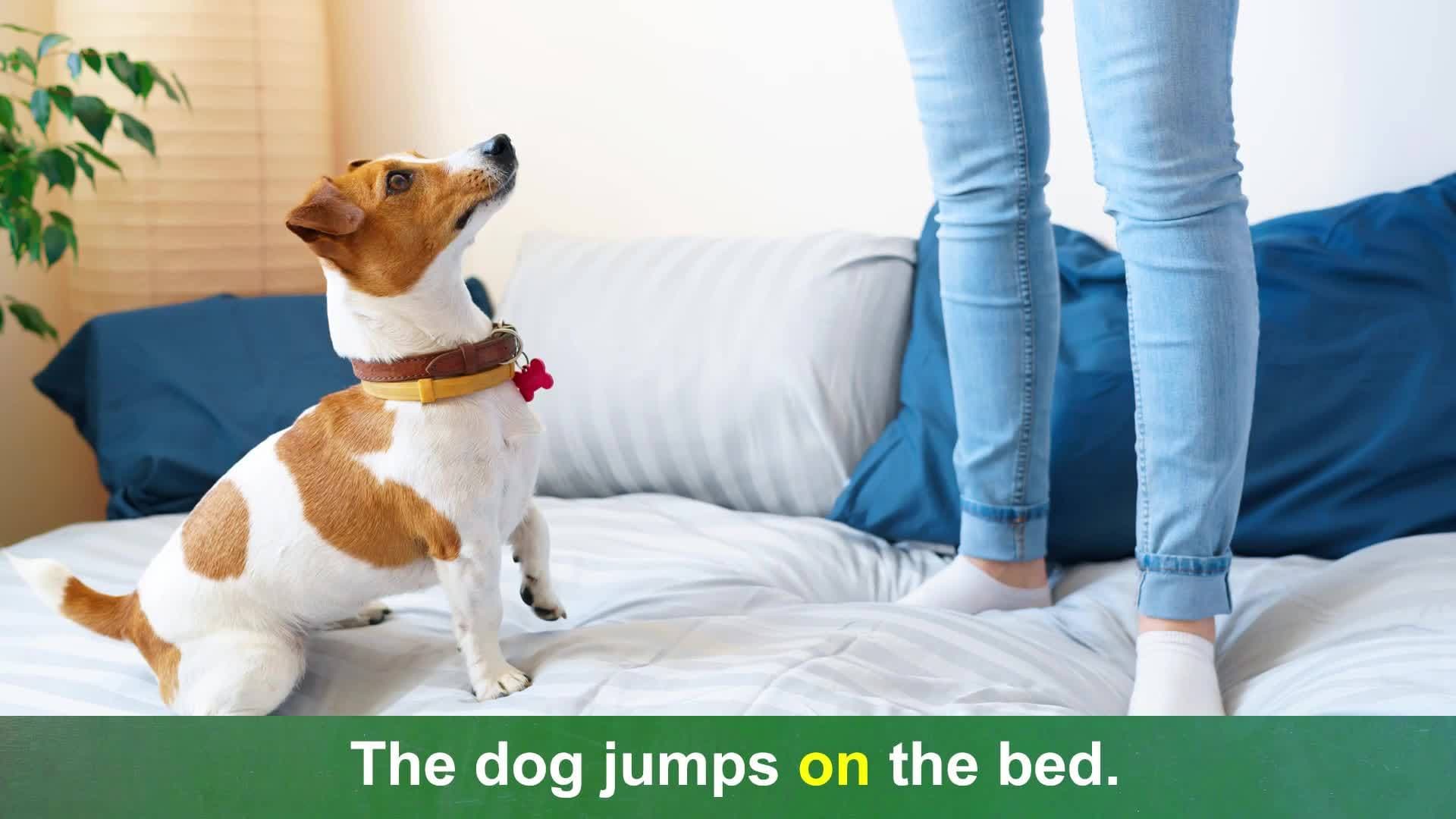 Language Function and Construction:  Condensing Ideas, Part 3