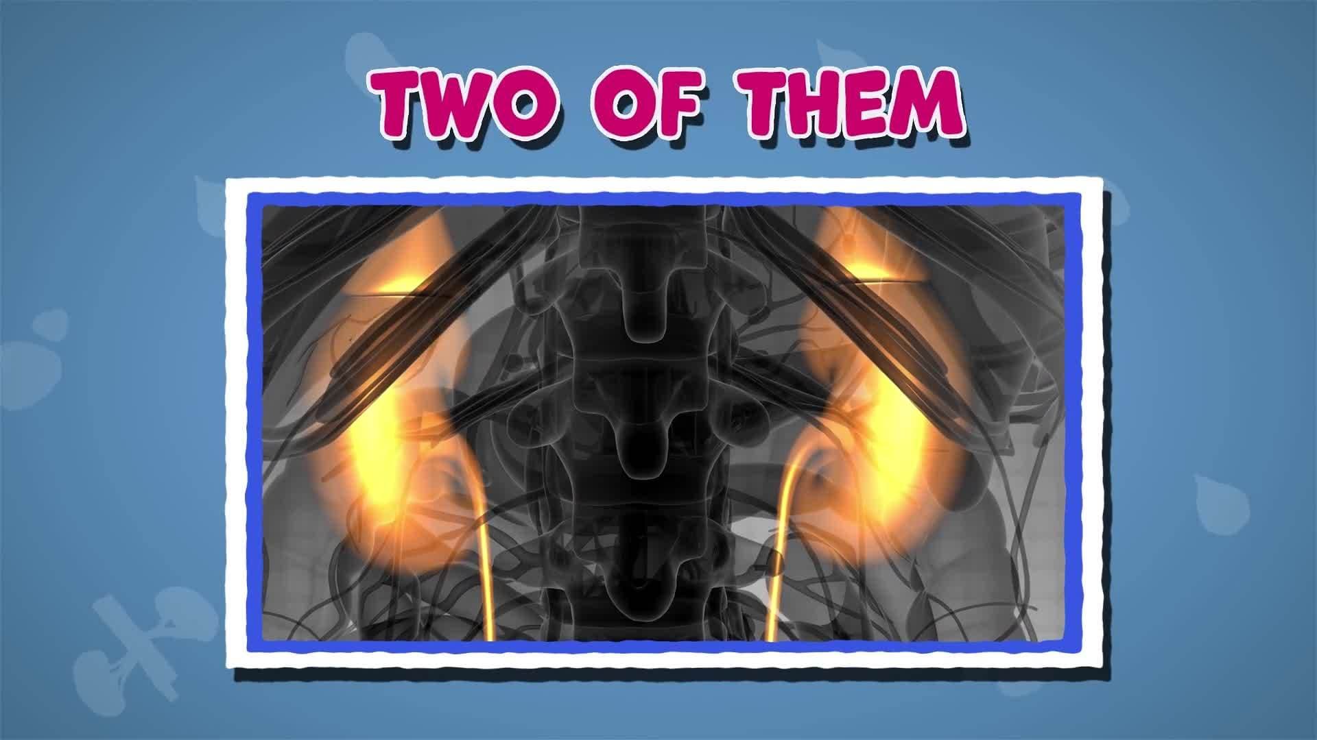 I WONDER - Can You Live With One Kidney?