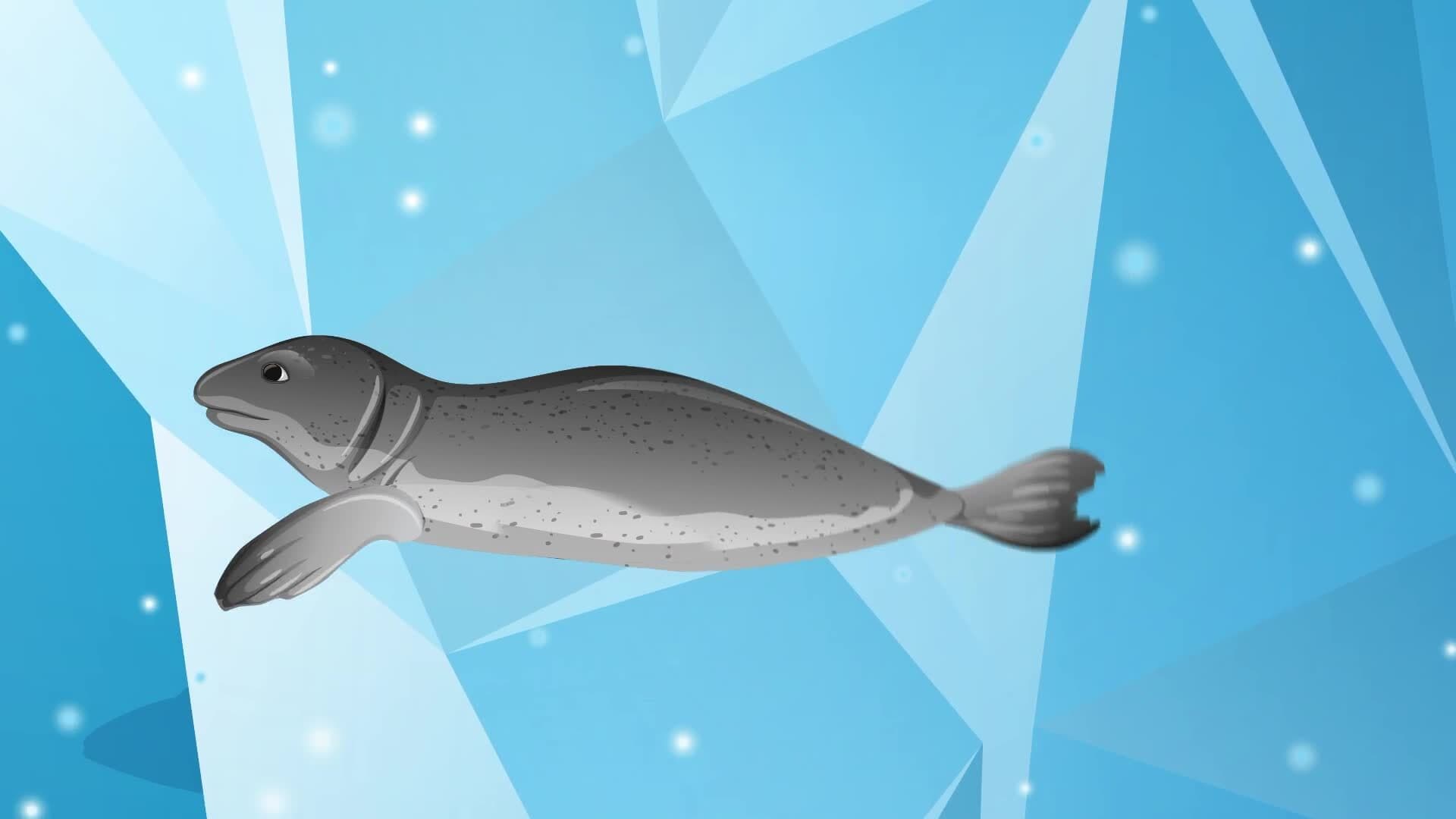 High Five Facts - Polar Ice Caps