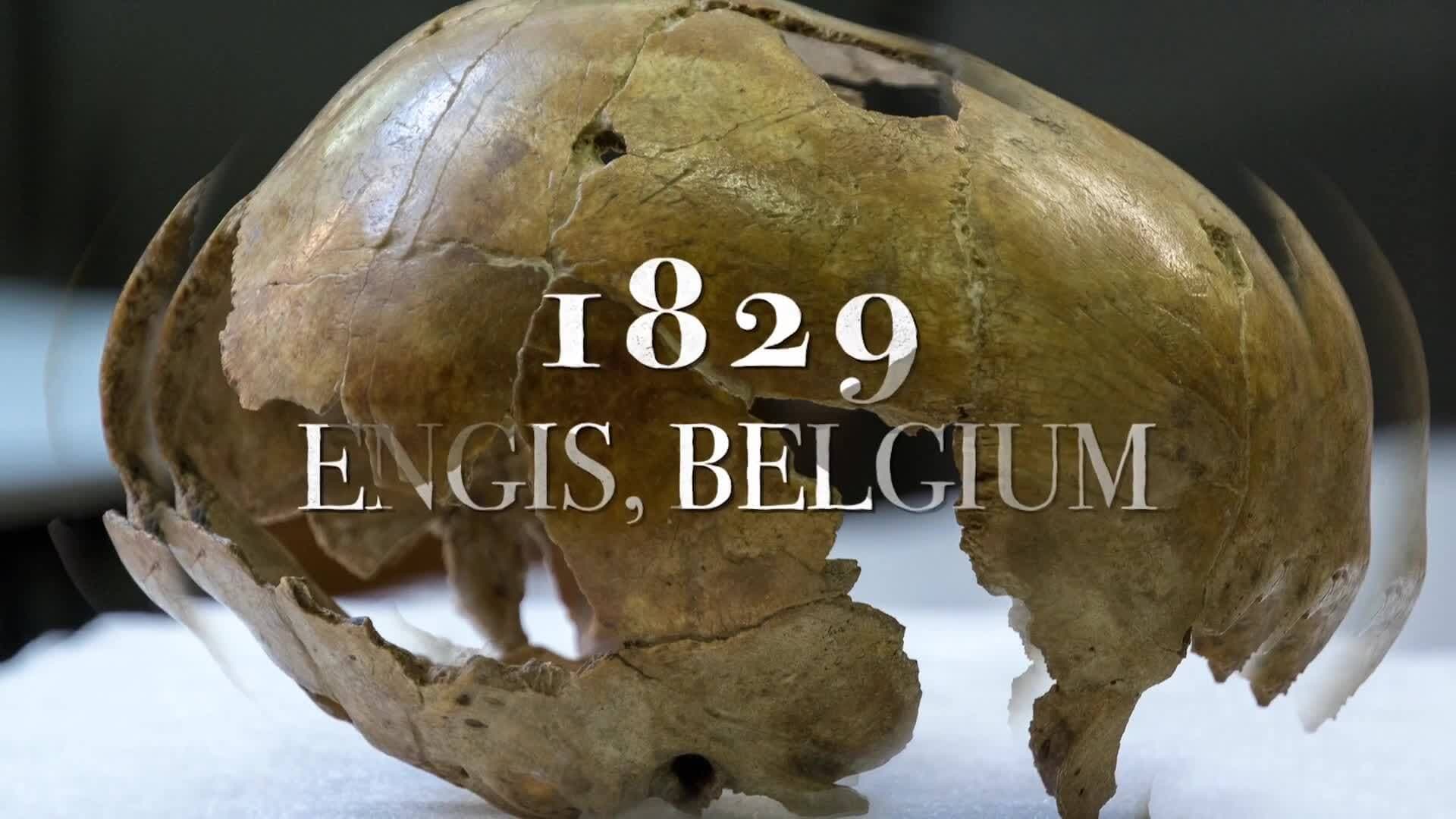 Unraveling the Mysteries of Neanderthals: A Journey Through Archaeology and Genetics