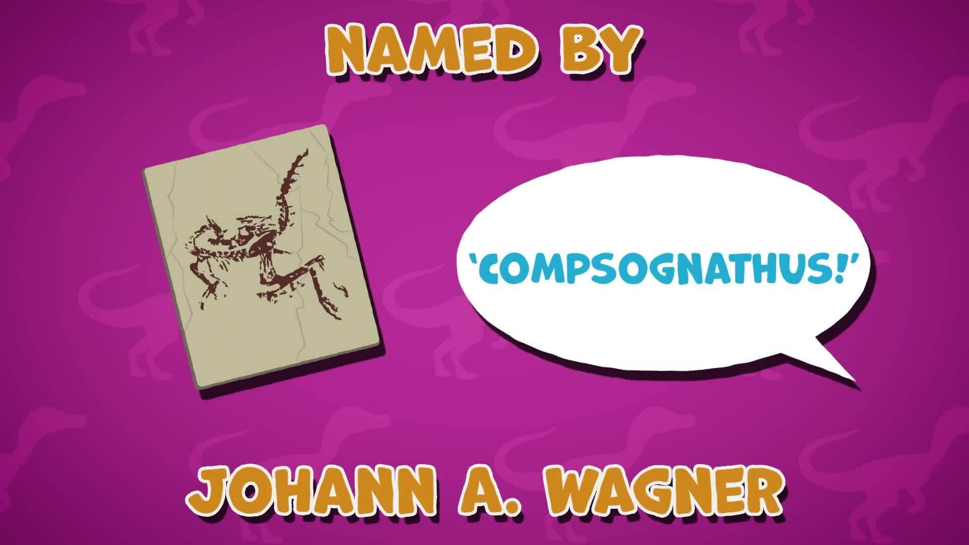 I WONDER - Where Was The Compsognathus Discovered?