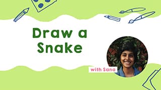 Snake Drawing Guide