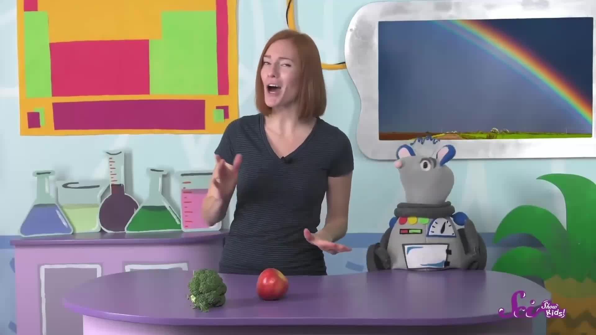 Our Favorites | Compilation