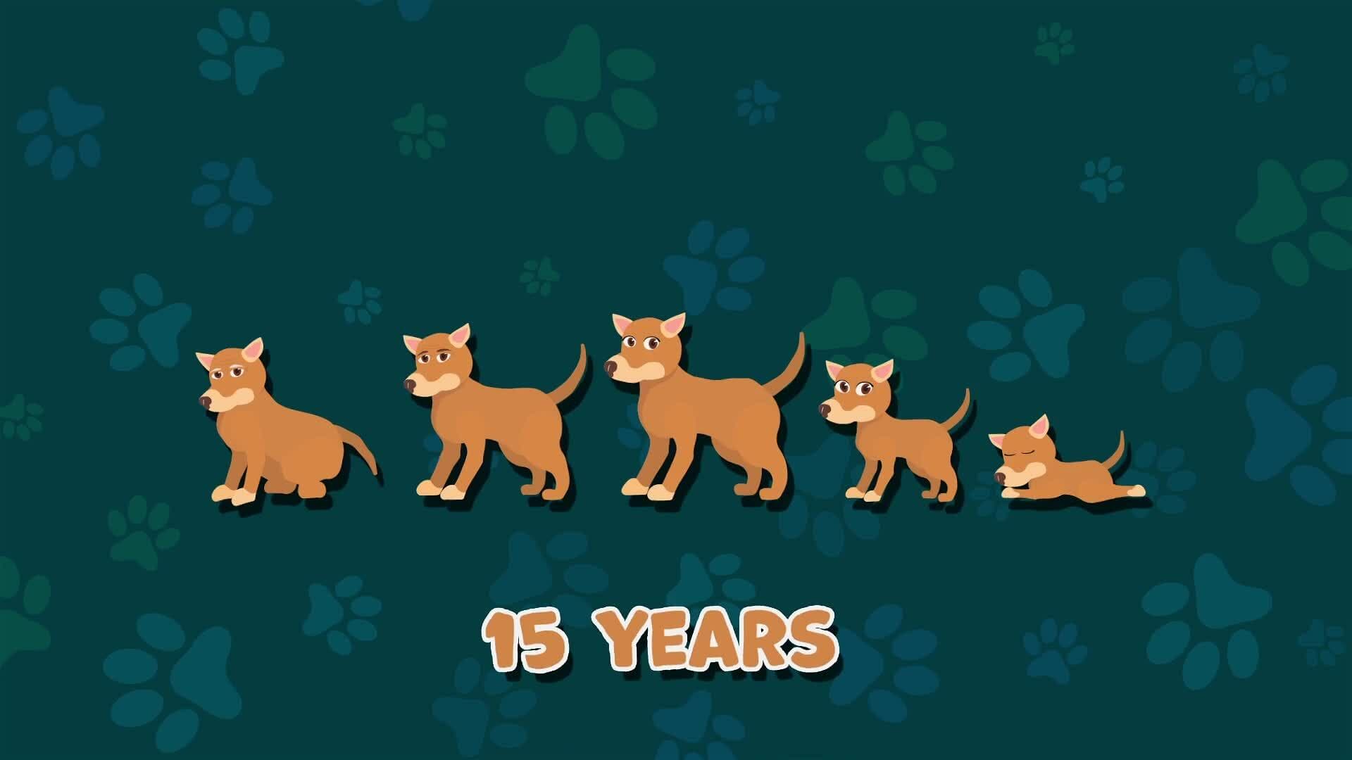 I WONDER - How Old Can Dogs Live?