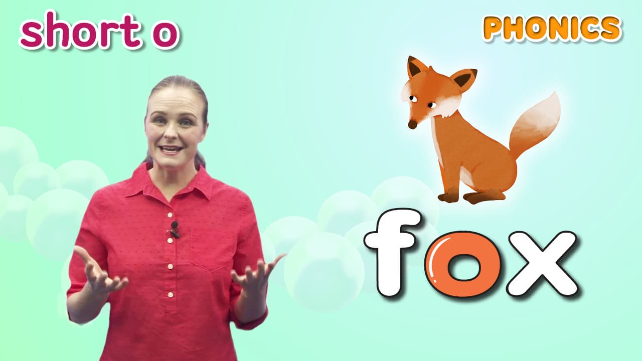 Step2_Lesson11_Short Vowel o (_ot, _ox)