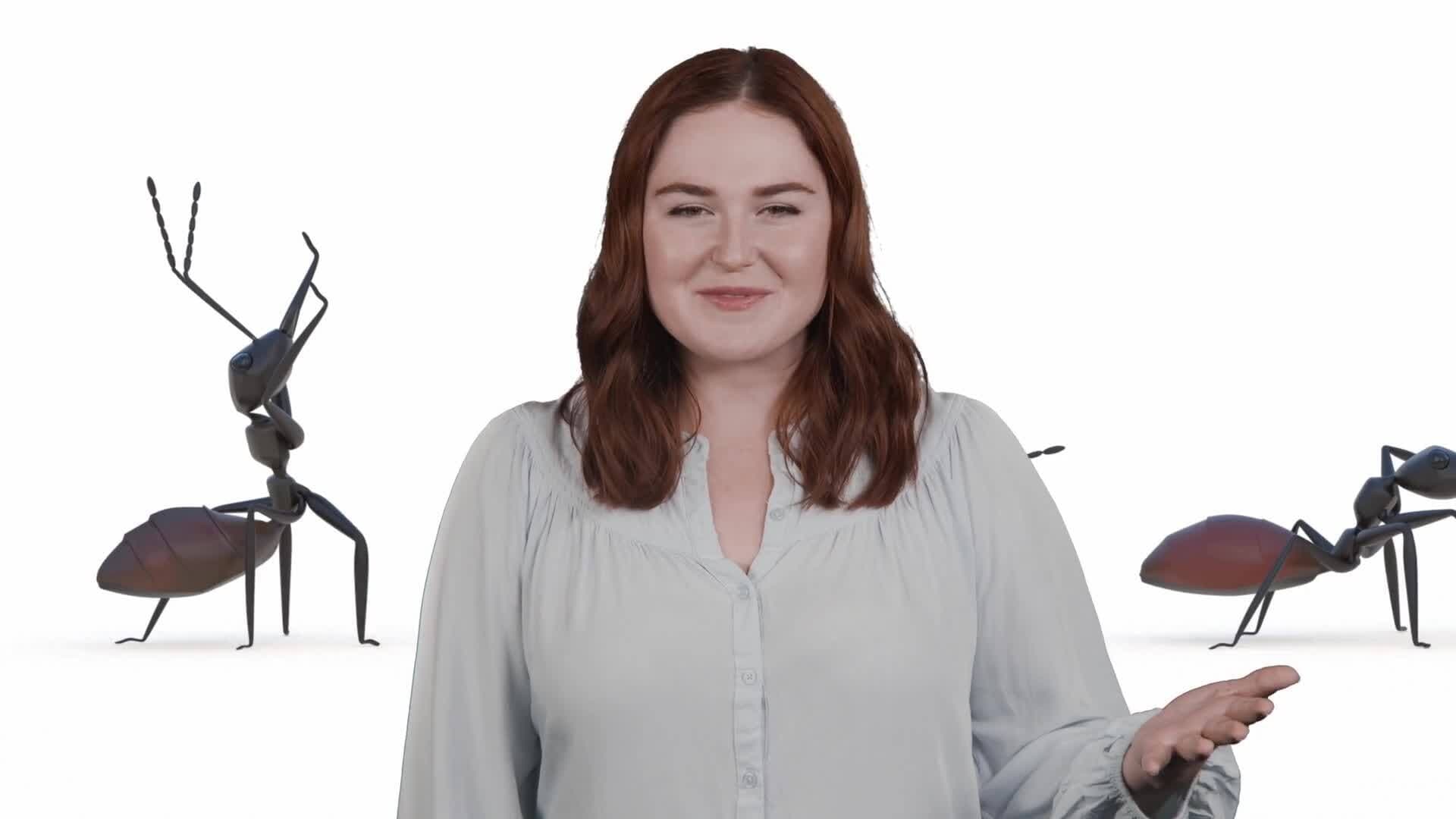 Exploring the World of Ants: Strength, Society, and Survival