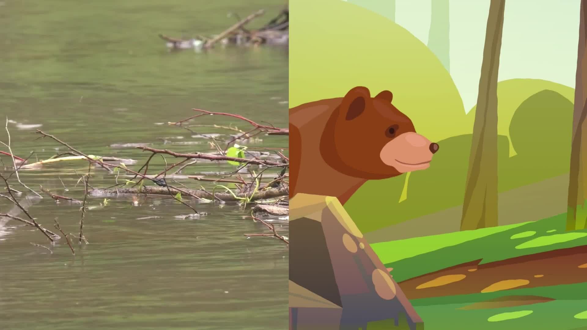 High Five Facts - Canada