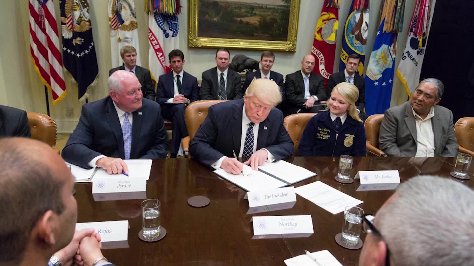 History Kids: The Executive Branch