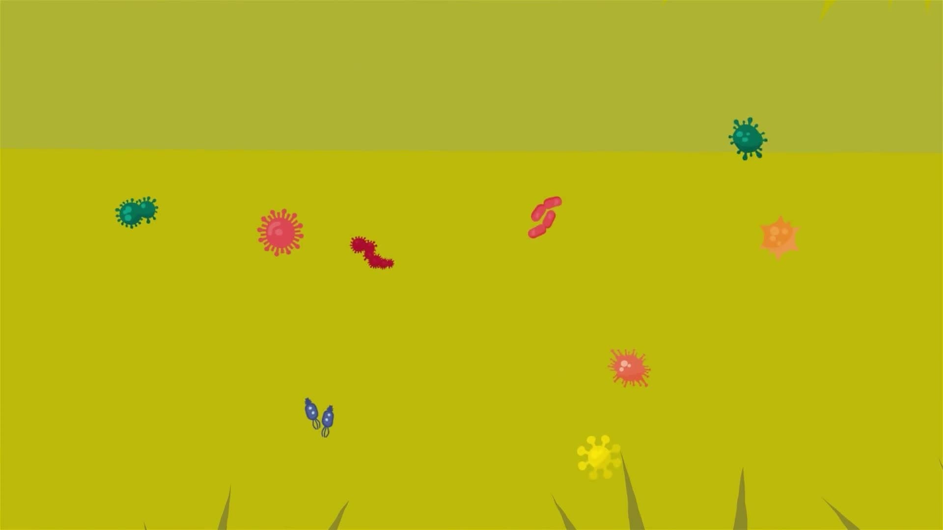 I WONDER - How Much Bacteria Is On My Mobile Phone?