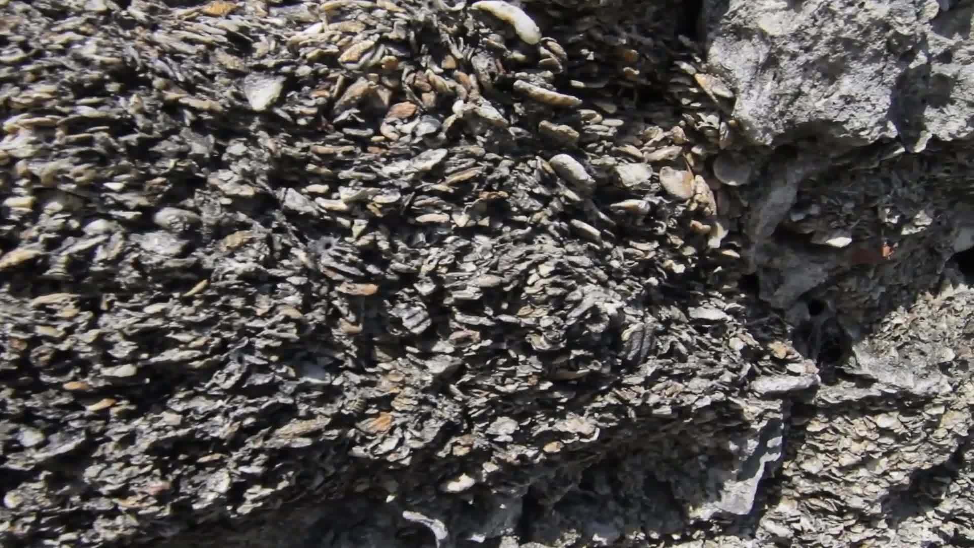 The history of Castillo San Marcos