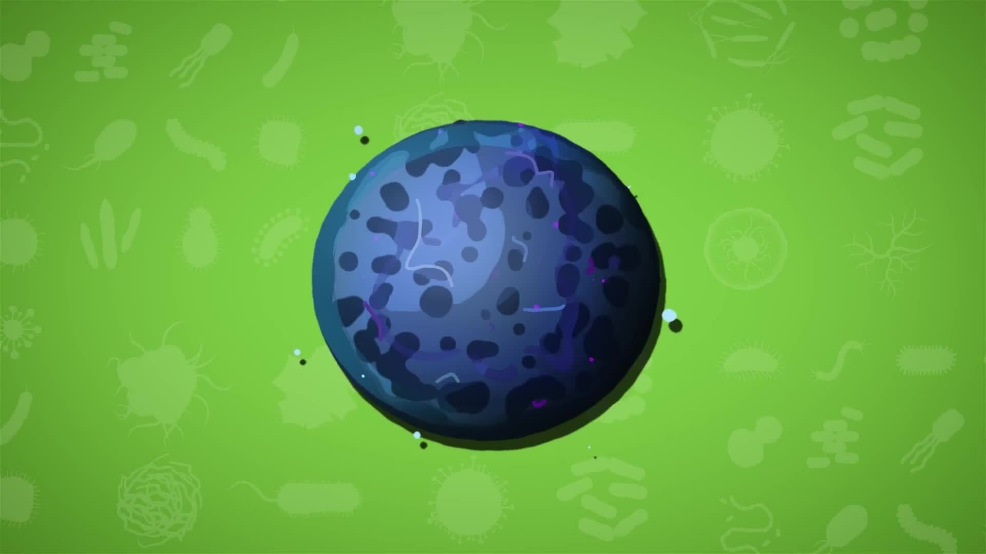 I WONDER - What Shape Is Bacteria?