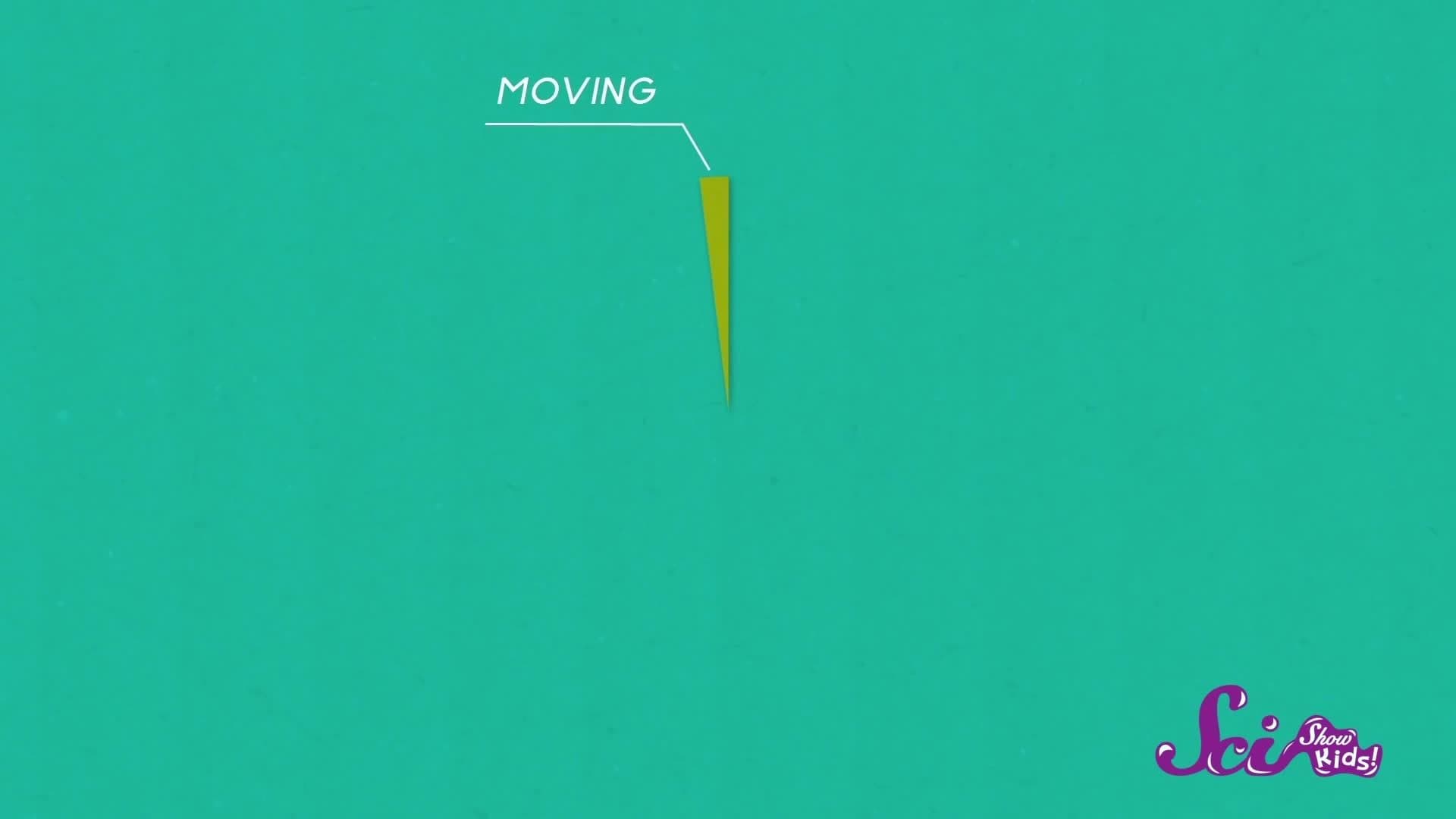 Odd Facts About Sloths