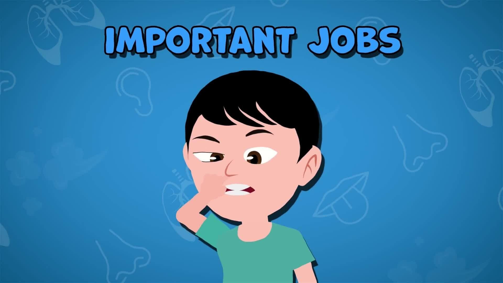 I WONDER - What Job Does The Nose Do In The Respiratory System?