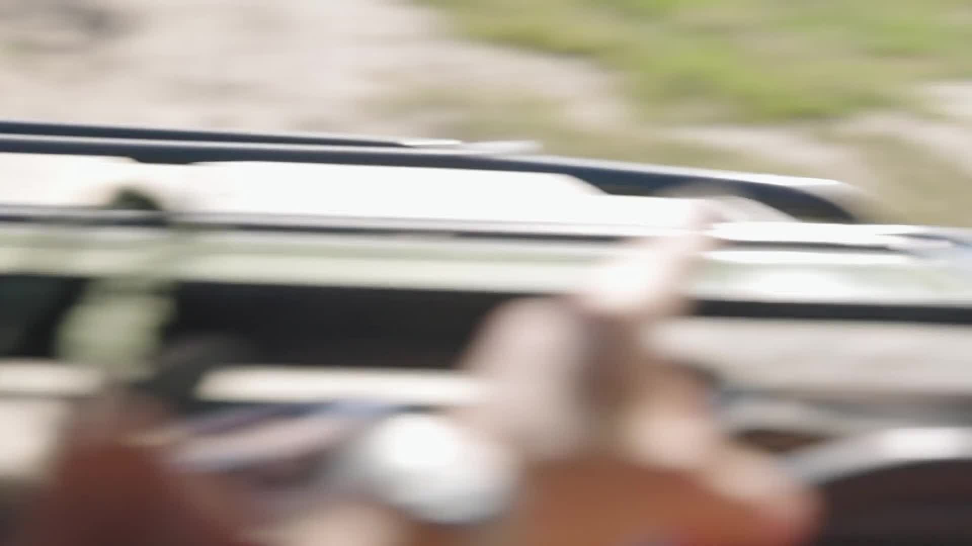 Going Wild - Discover the Okavango Delta