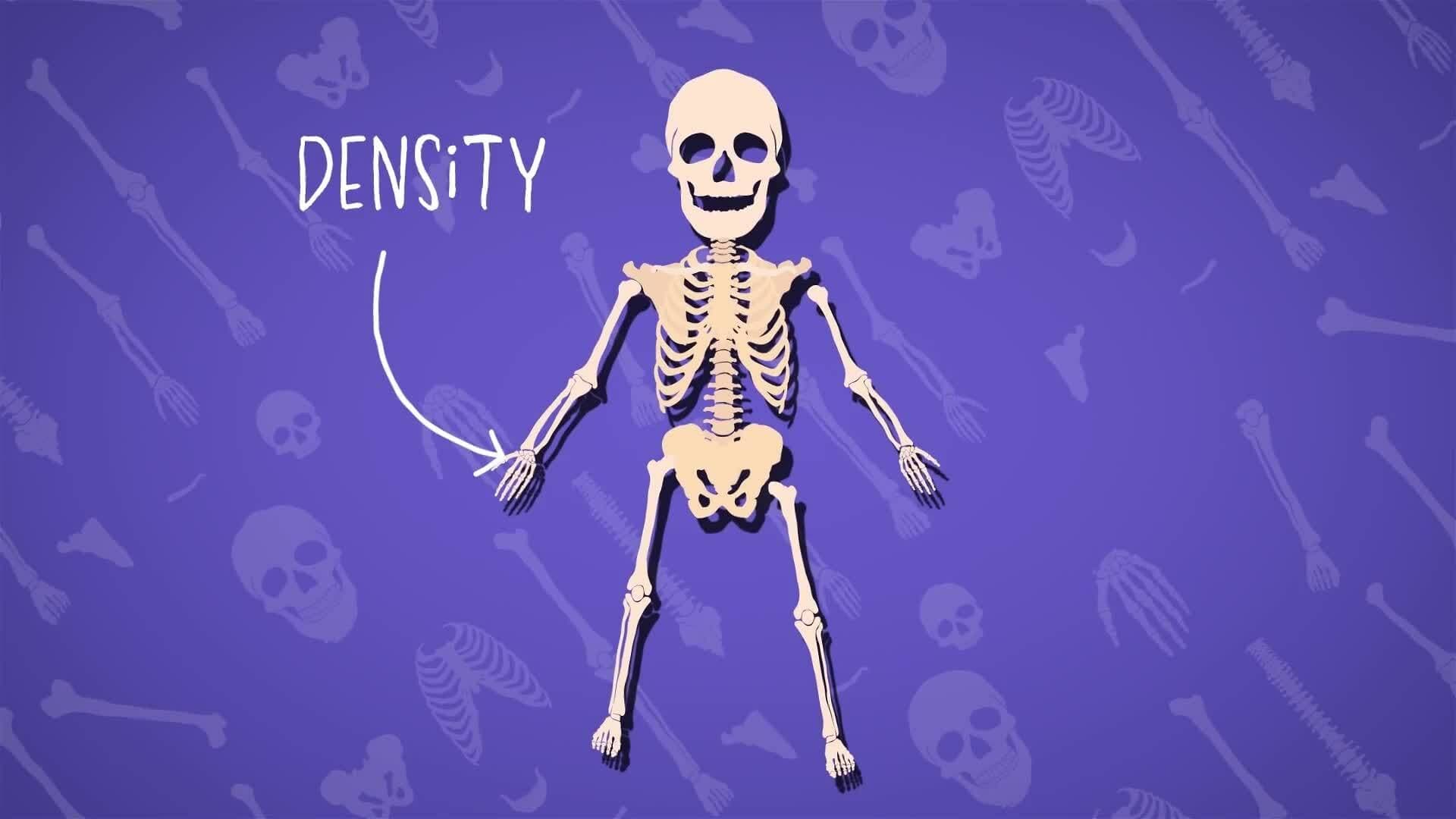 I WONDER - What Is Bone Growth?