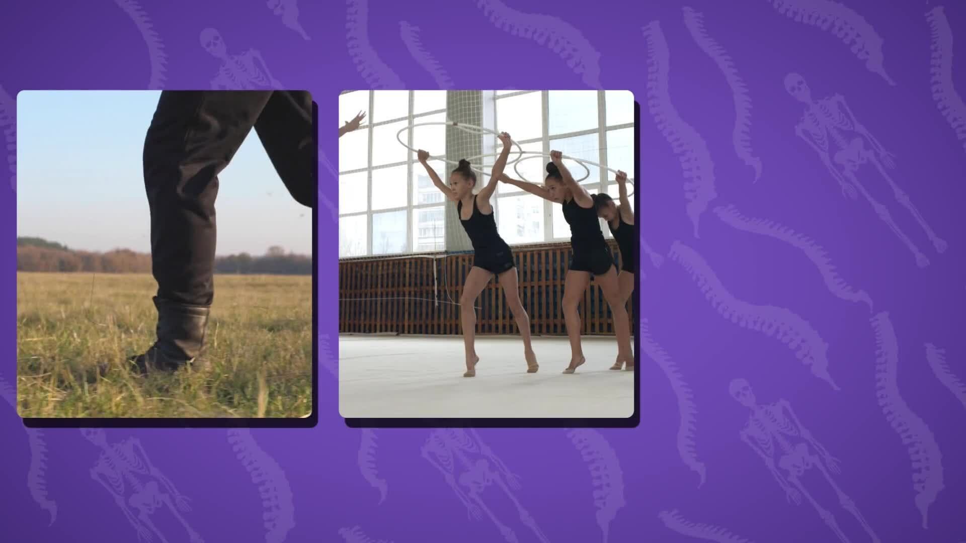 High Five Facts - Spine