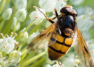 Environmental awareness