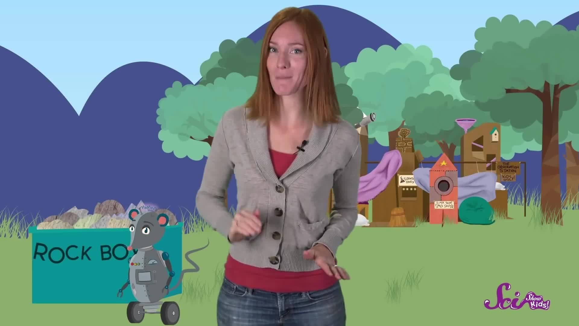 Let’s Get Rolling! Physics for Kids