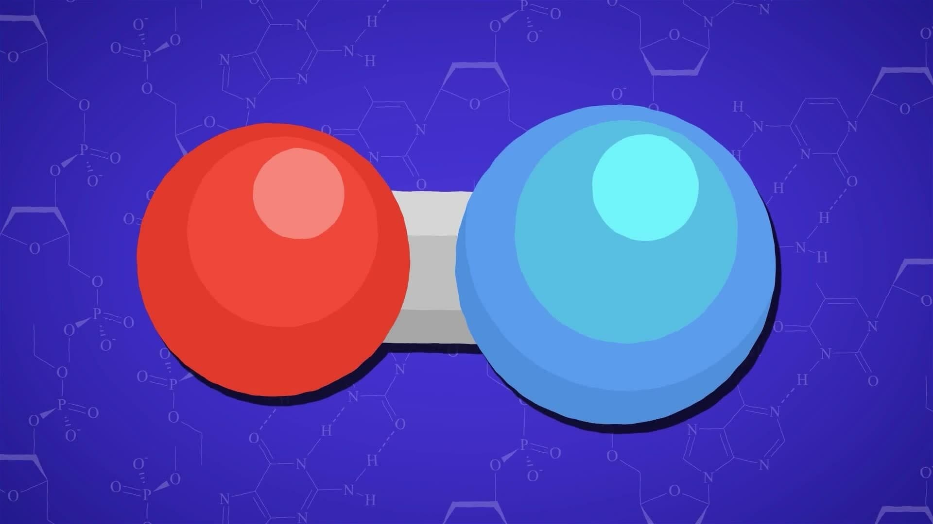 I WONDER - How Strong Are Chemical Bonds?