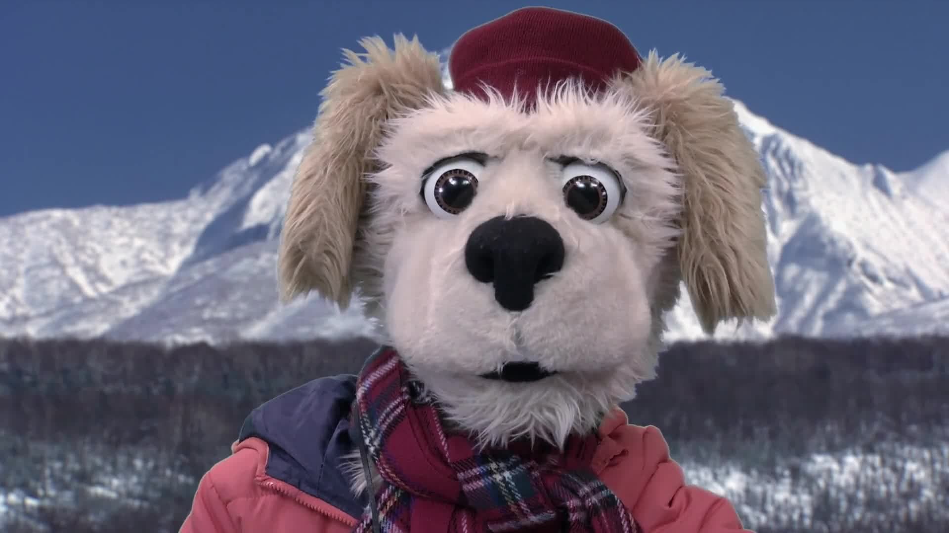 Animal Alphabet: K is for Kingfisher