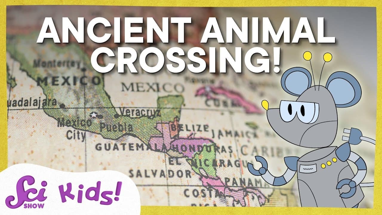 The Ancient Animal Crossing | SciShow Kids