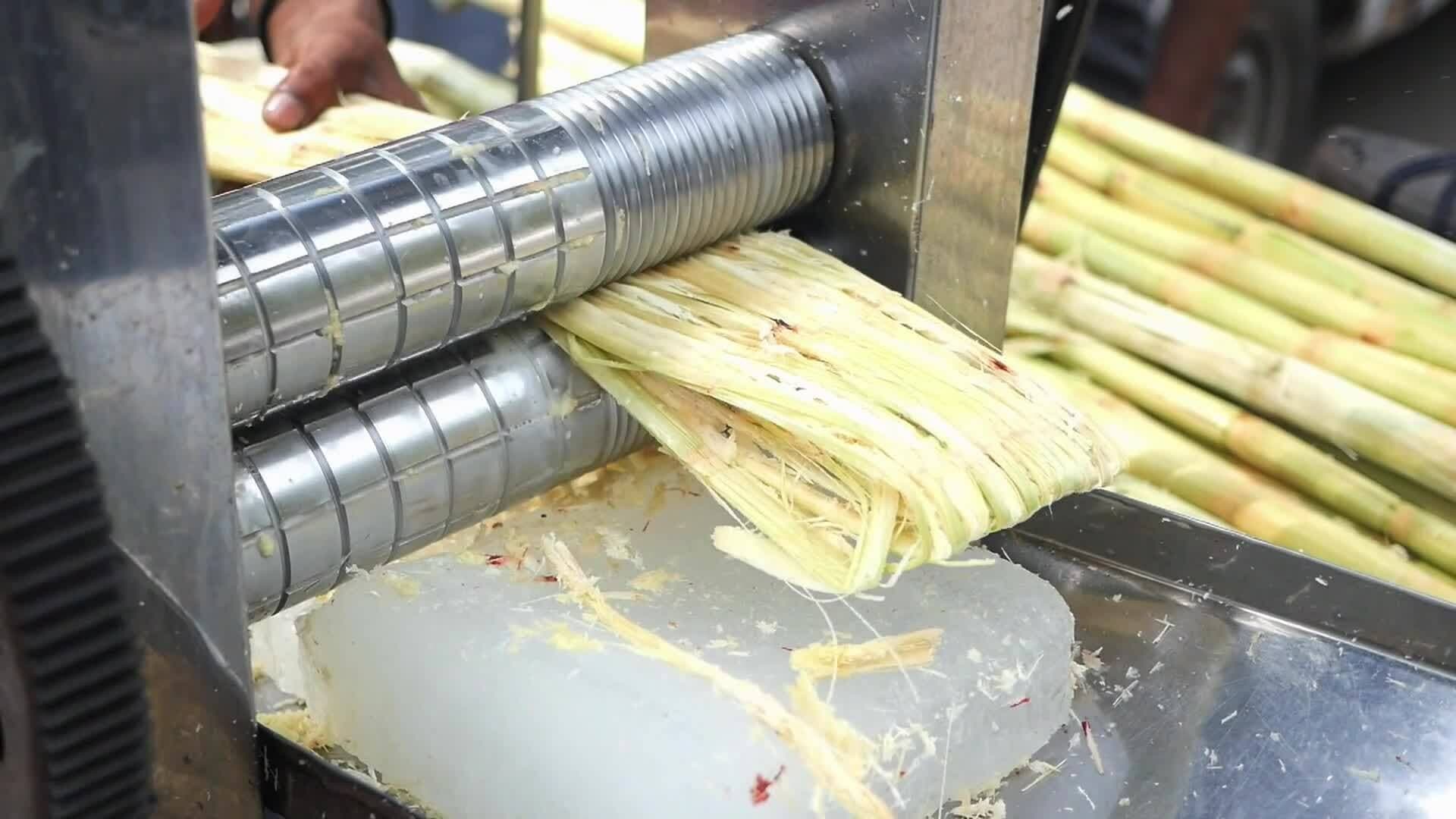 High Five Facts - Sugars